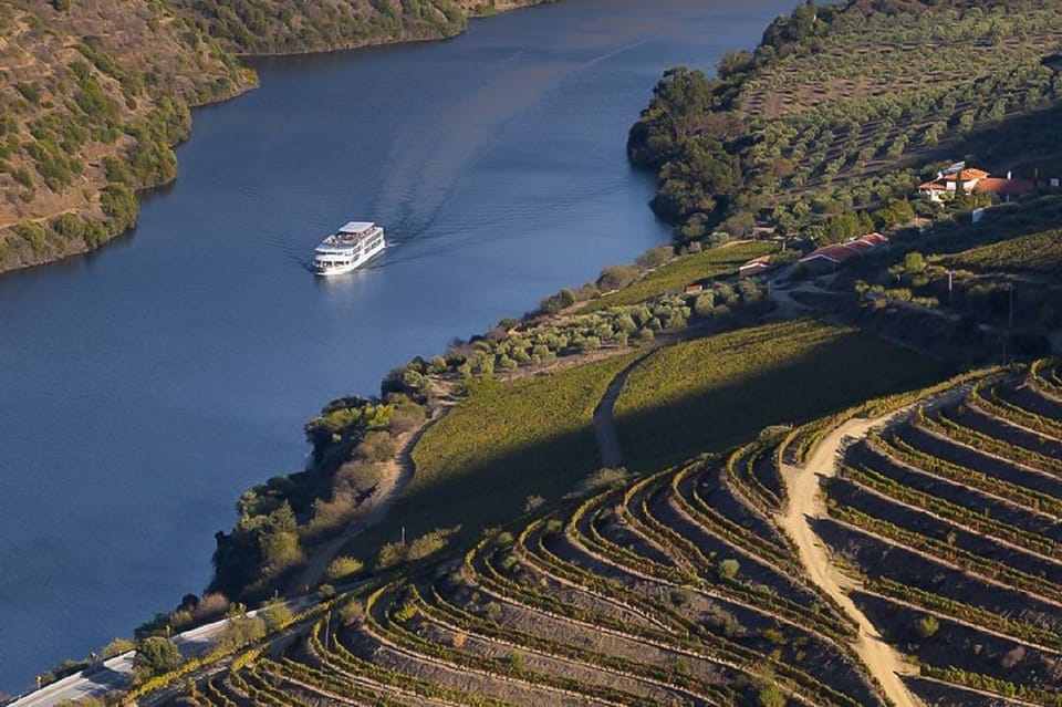 Vinprovning och Utflykt p Dourofloden och mot Coimbra